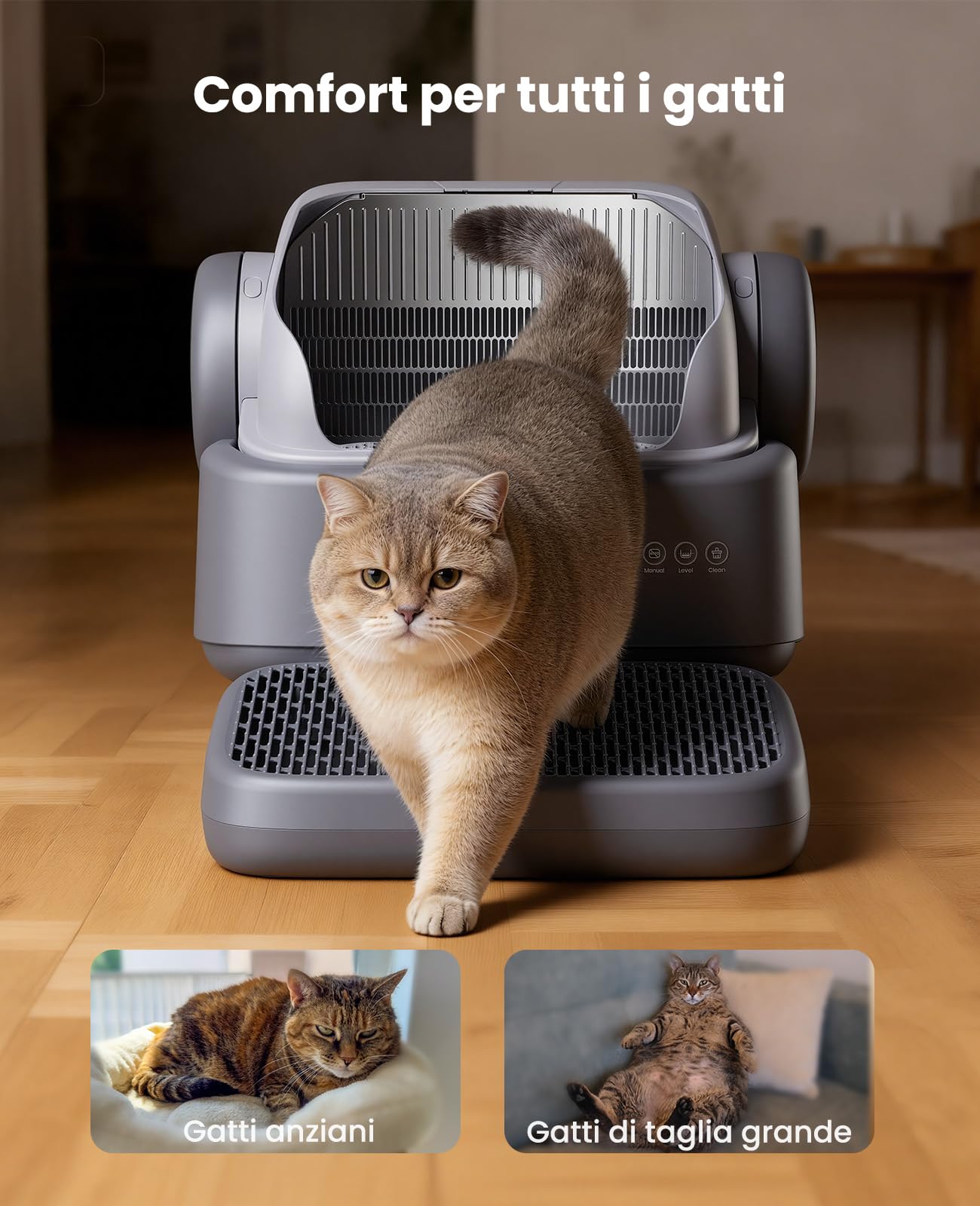 CB01 - Accessori per lettiera per gatti, rampa per lettiera, dispositivo di raccolta della lettiera per gatti, scatola con rampa
