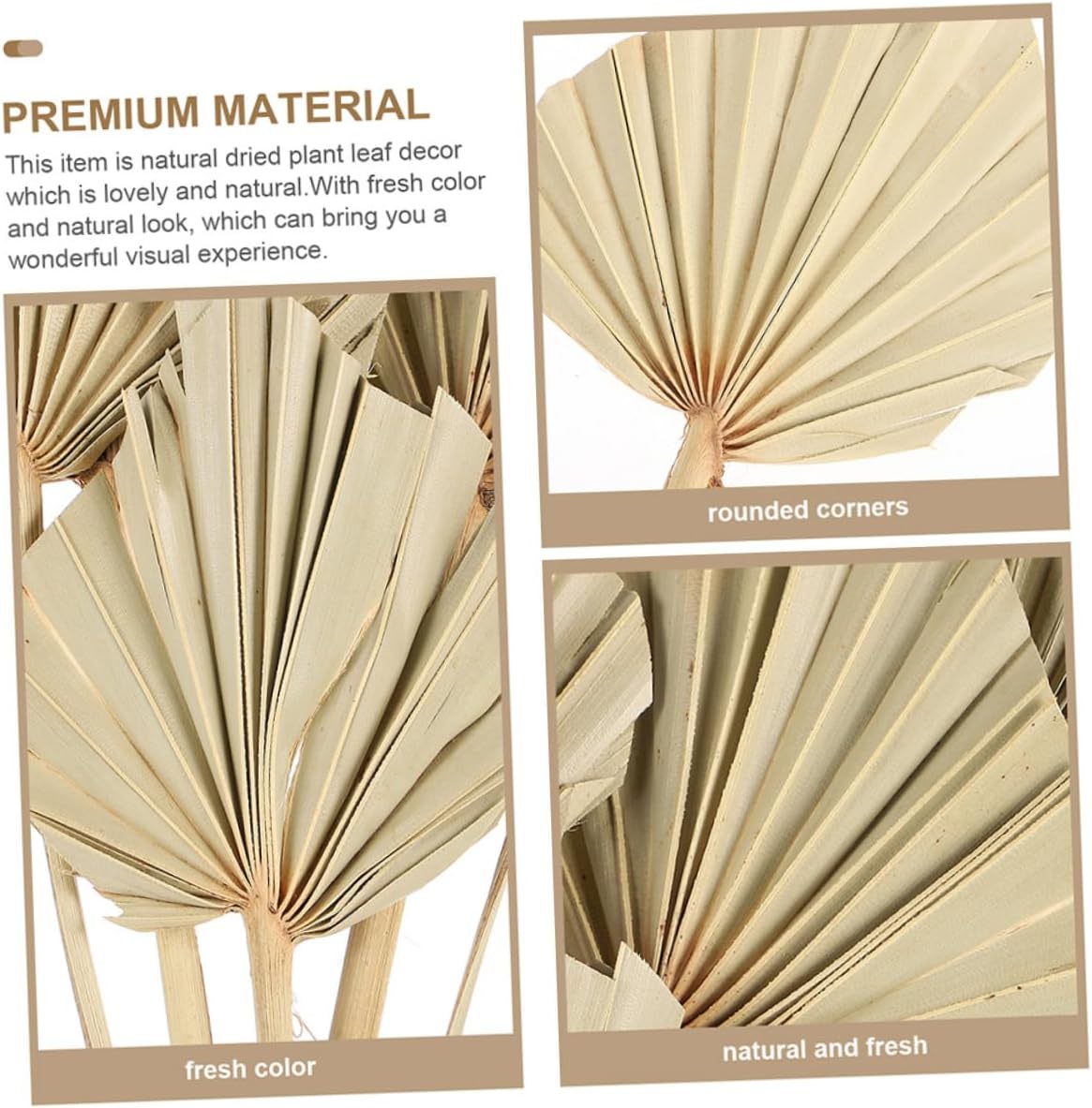 6pcs Palm Leaf Decoration Leaf Modeling Decor Dried Palm for Decor Hotel Art Supply
