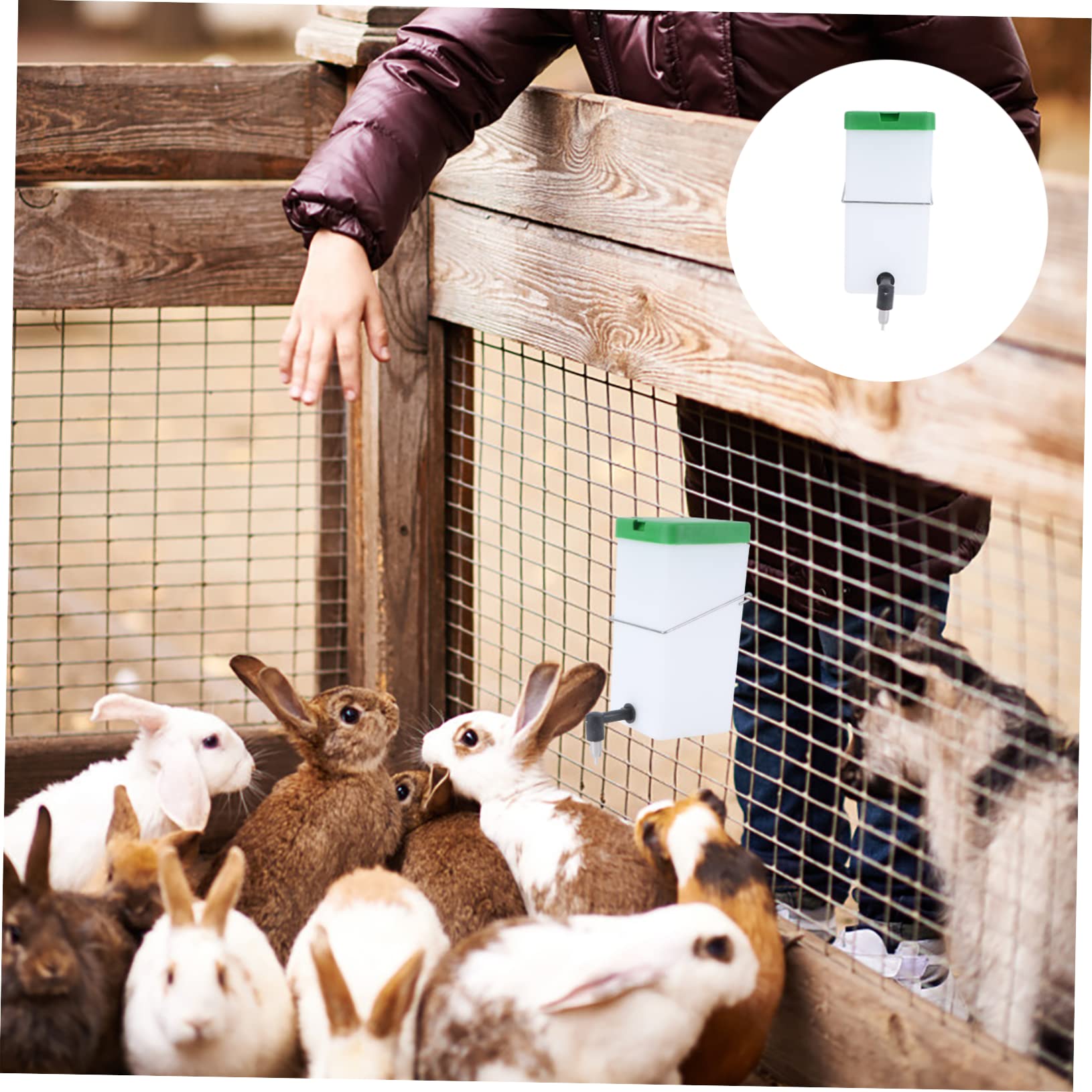 BESPORTBLE 3pezzi Distributore Automatico Per Conigli Abbeveratoio Plastica Per Animali Domestici Facile Da Installare e Utilizzare Adatto Per Tutti Tipi Di Ambienti