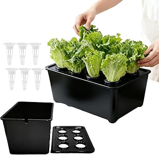 Hydrokultur System für Innenräume | 6-Loch Keimungssystem | Haushalts Anzuchtbox - Für Innen- Und Außenbereich, Garten, Gewächshaus, Farm, Hinterhof, Fensterbank, Balkon, Büro, Für Gemüse, Und Blumen