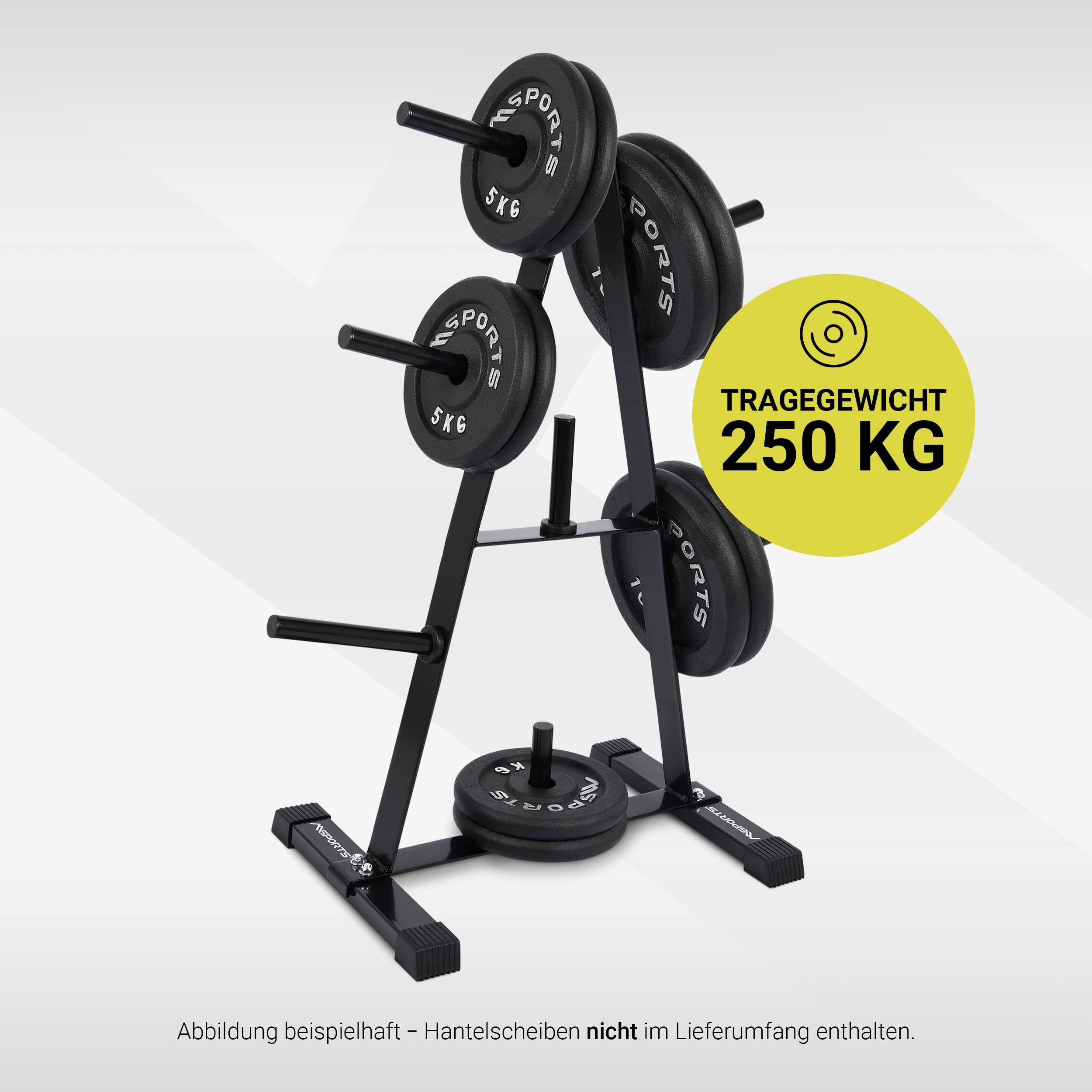 MSPORTS Hantelscheibenständer Premium Hantelbaum, Scheibenaufnahme: 30mm, bis 250 kg belastbar Schwarz