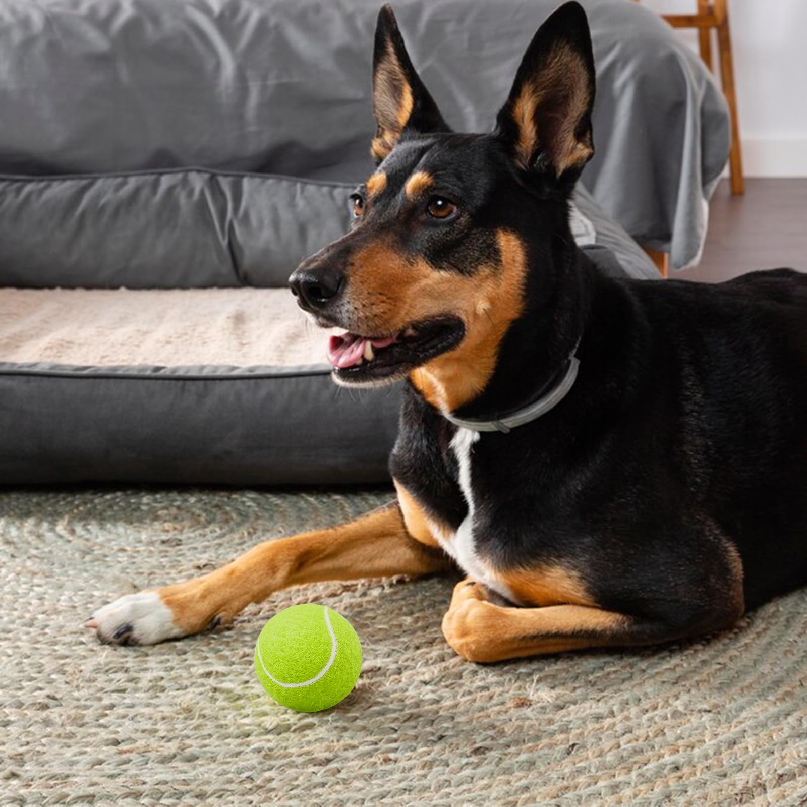 24 Stück Hunde-Tennisbälle, 6 cm, bunt, für Apportieren und Training | Farbiges Ballset für Wurfspiele, interaktives Spielen und tägliche Beschäftigung mit Hunden im Garten, Park oder Zuhause