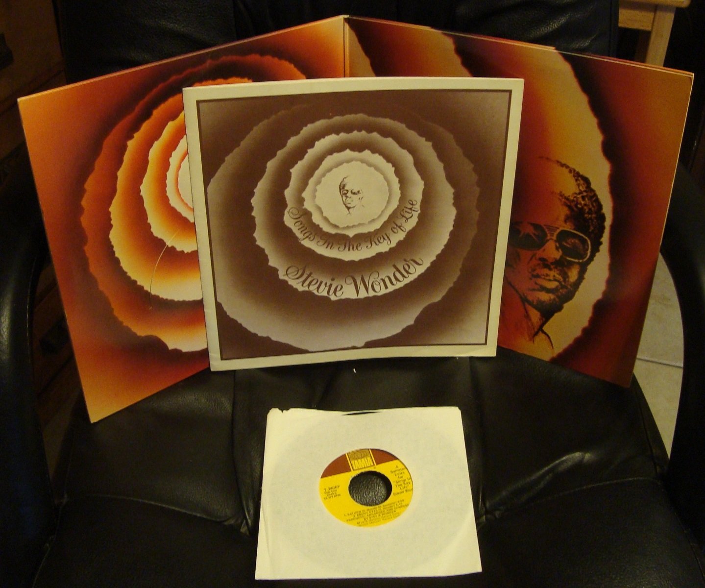 Songs in the Key of Life [Vinyl LP]
