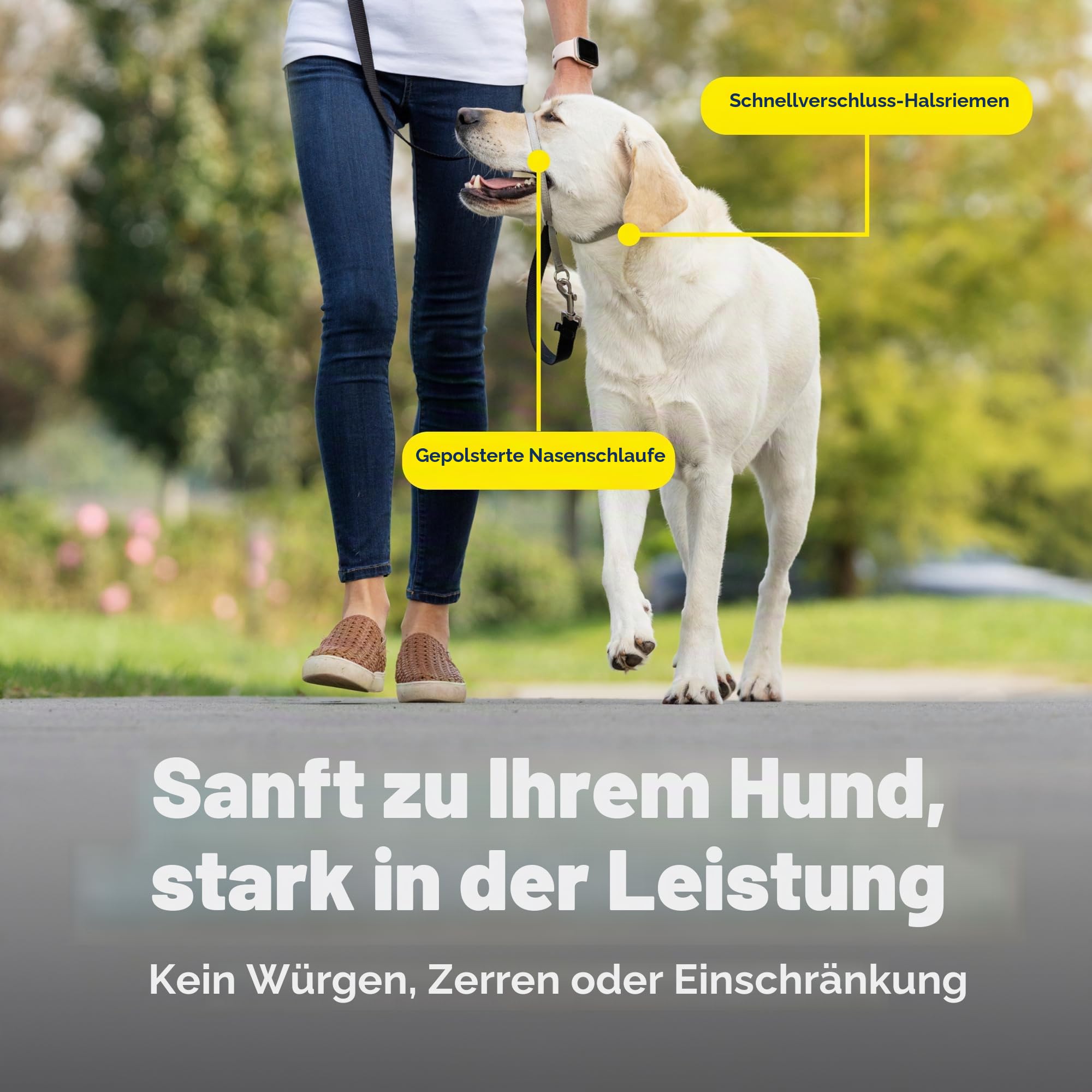 PetSafe Gentle Leader Hundekopfhalsband, die ultimative Lösung gegen Ziehen, leitet das Ziehen des Hundes um, für einfachere Spaziergänge, hilft dir, die Kontrolle wiederzuerlangen, Größe L, Anthrazit
