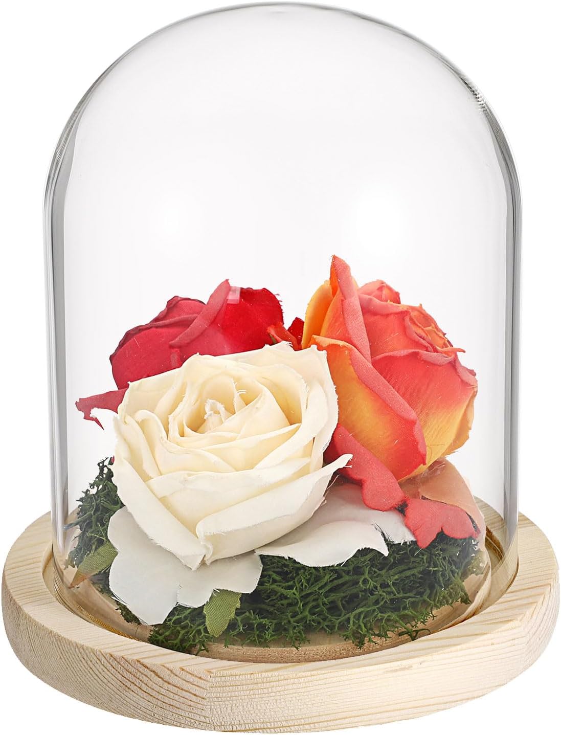 Hipiwe Glass Display Dome Cloche with Wood Base Clear Glass Display Bell Jar Decorative Flower Display Dome for Plants, Figure, Antique Collectibles, 4.5 x 6.1 Inches
