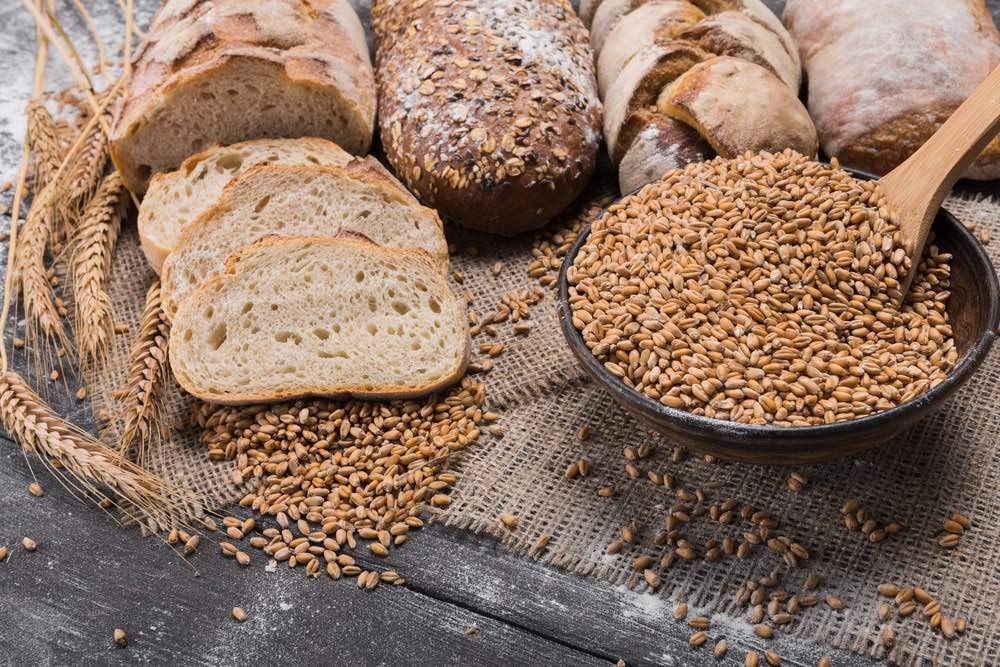 Organic Rye Berries, 3 Pounds - Non-GMO, Kosher, Raw, Bulk Seeds, Product of the USA