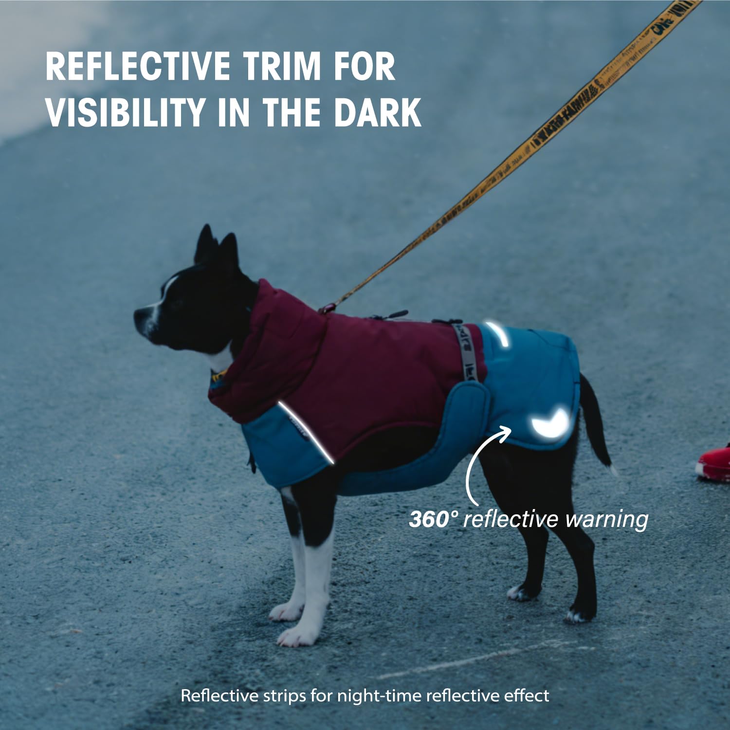Wasserdicht Hundemantel Wintermantel Hundejacke mit wärmendem Futter, Winddicht und Reflektierende Jacke für Border Collie, Springer Spaniel den Außenbereich (50, weinrot