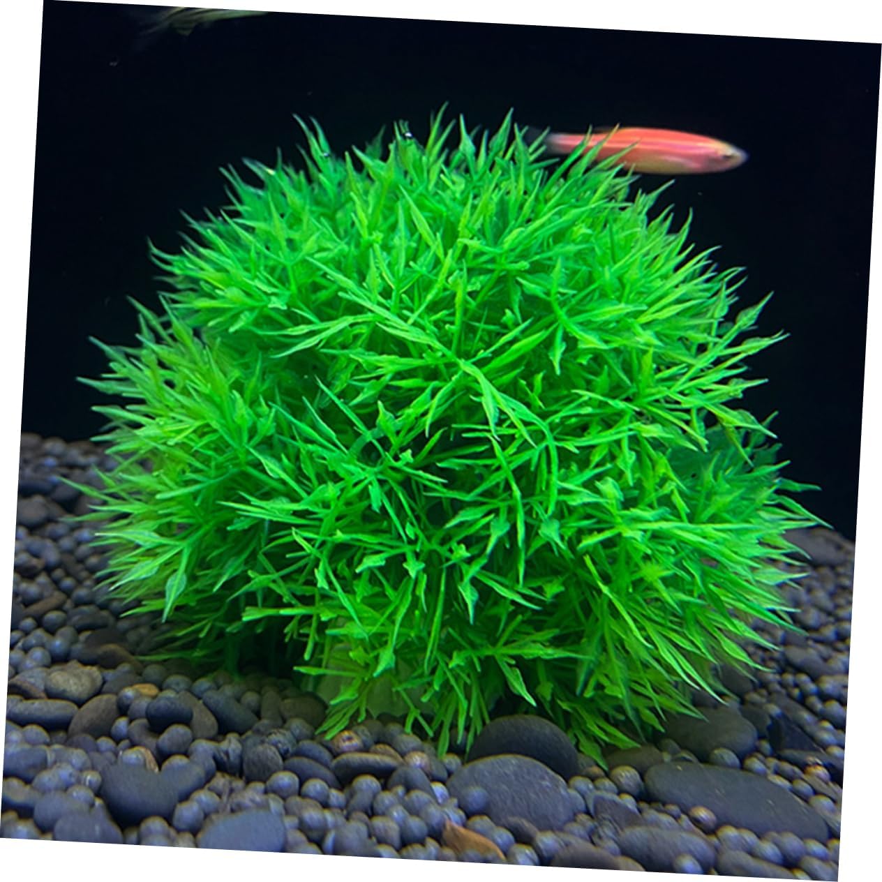 PRETYZOOM 8pcs Realistic Aquarium Plants Balls Lifelike Water Plants Decor for Freshwater Tank