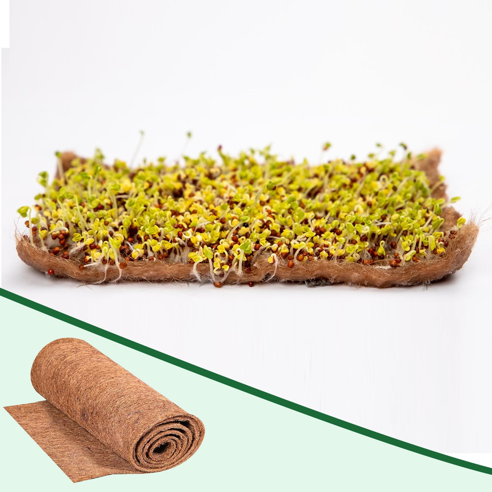 25x400cm Kokosmatte Pflanzen,Microgreens Anzuchtmatte Sprossenpads Hydrokultur Pflanzpads Wachstumsmatten für Pflanzer Fenster Kasten Blumenkorb Garten Tierische Haustiermatte