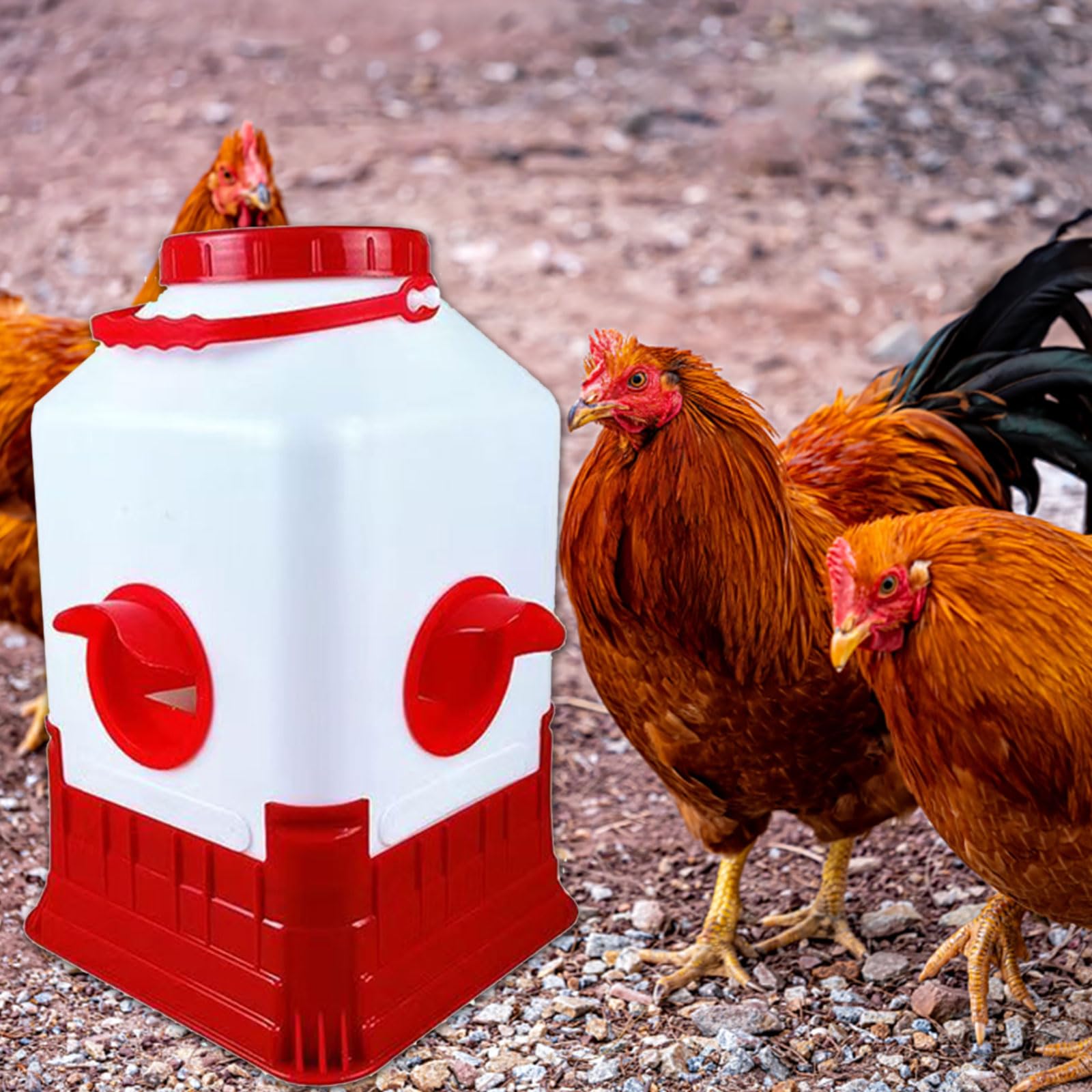 Alimentador automático para pollo, diseño antiresiduos, para aves de corral, gansos, patos, sello a prueba de fugas, herramienta de alimentación antiderrames, dispensador de agua de pollo a