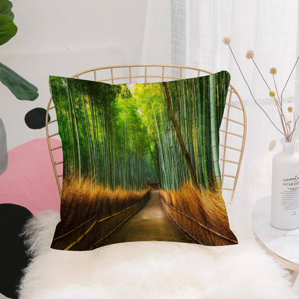 HYMSXW Cushion Cover,Throw Pillow Case Home Decorative for Living Room Bedroom Sofa Chair 20X20 Inch,Modern, Bamboo Asian Rainforest Nature Trail Vivid Colored Print View Landscape,Pillowcase 50X50cm
