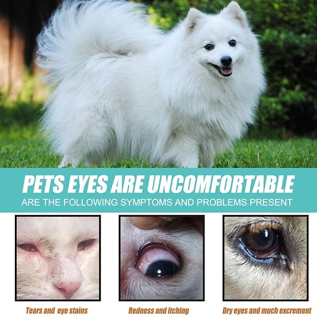 Foto 2 de 8 de 5 Solución para Mascotas - Gotas para Ojos Esenciales para Limpieza Mascotas para Perros y Gatos,Útil Pets…