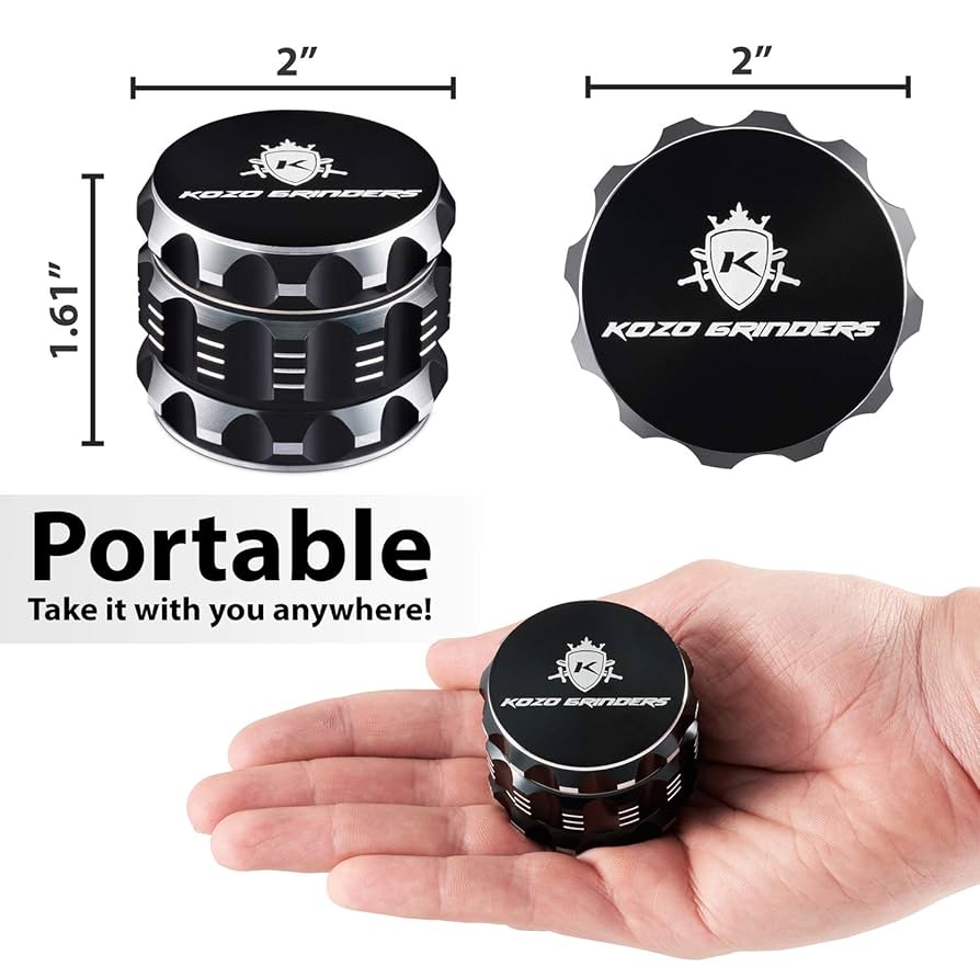 コルジリネ ブラックスパイダー 子株2株でてます 超希少品種