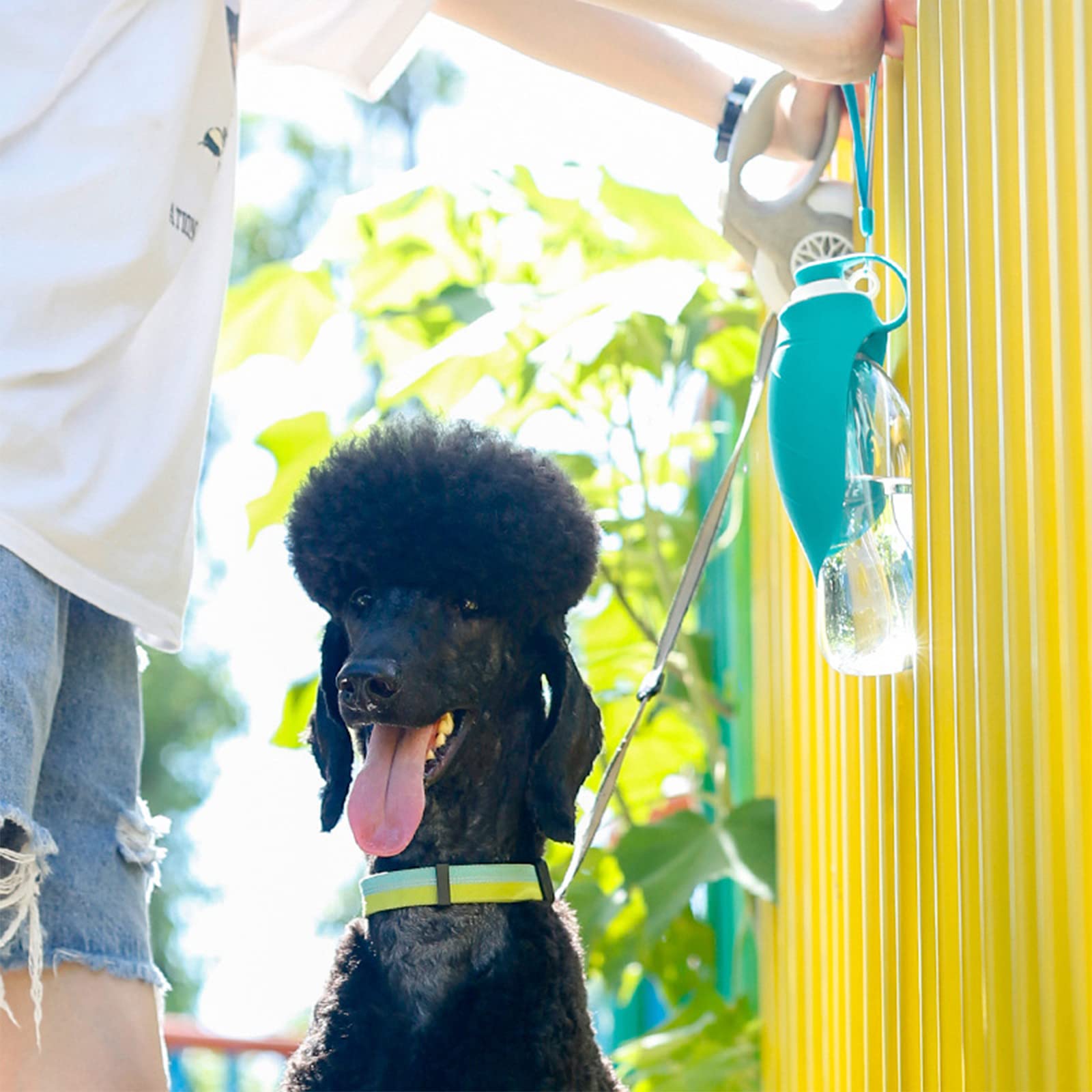 Fuente Portátil para Beber al Aire Libre, Suministros para Mascotas, Perro, Salir, Beber, Botella de Agua, Taza de Acompañamiento, Viaje, Perro, Caminar, Almacenamiento Conveniente