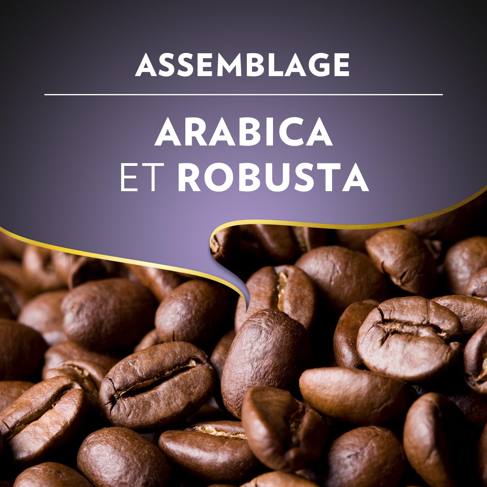 Lavazza, Espresso Barista Intenso, Café en Grains, 1 Kg, Idéal pour les Machines à Café Automatiques, Notes Aromatiques de Cacao et Boisées, Intensité 9/10, Torréfaction Moyenne