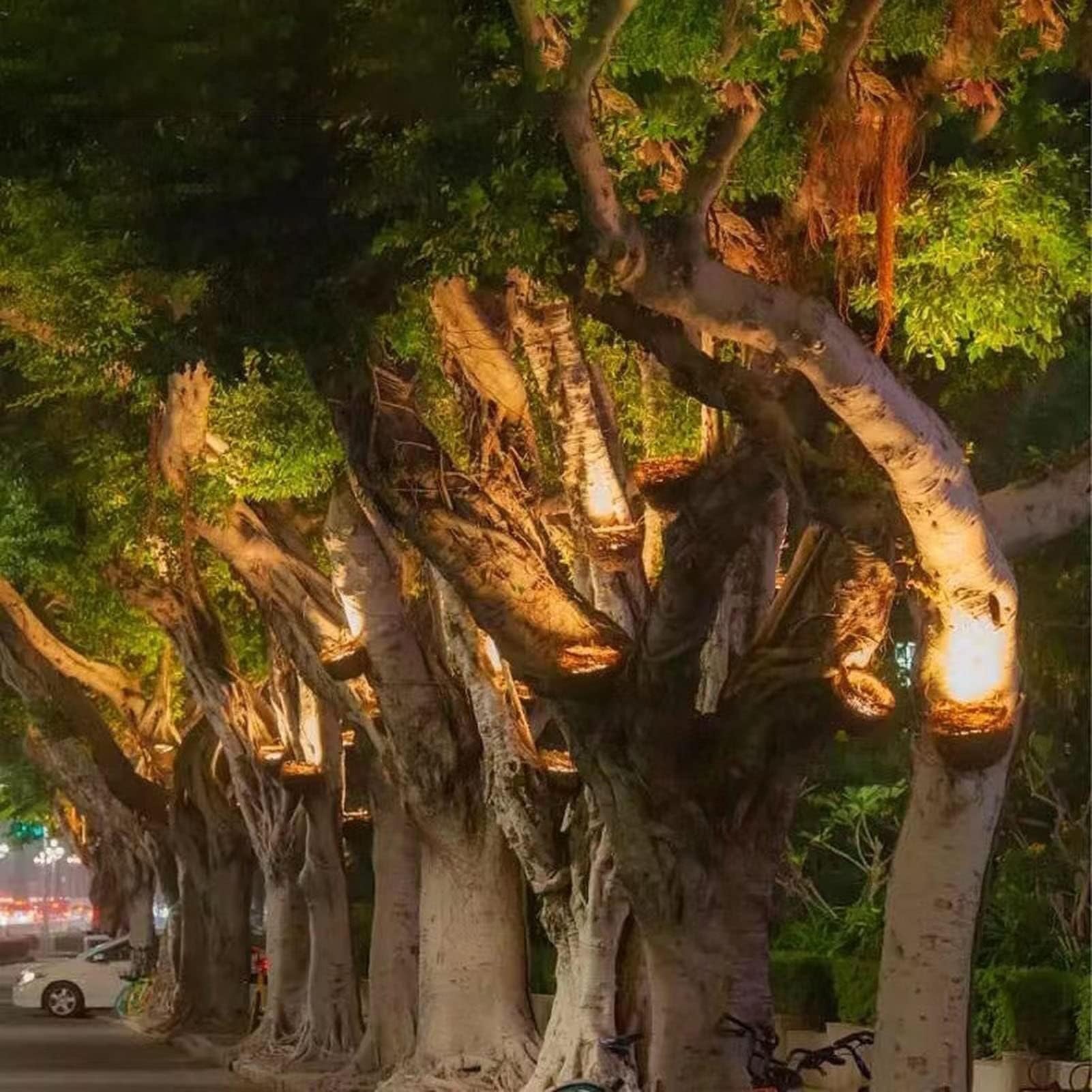 Focos Led Empotrables Exterior - Foco Led Jardín, Luz LED IP65 Impermeable Para Exteriores Nido De Pájaro, Reflector Colorido RGB, Iluminación De Árbol De Parque Verde Luz De Nido De Pájaro(White Ligh
