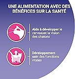 PURINA One Junior Effilés en Sauce Saveurs Assortis Saumon et Poulet pour Chatons | Sachets Repas 8 x 85g (Lot de 5) - 5