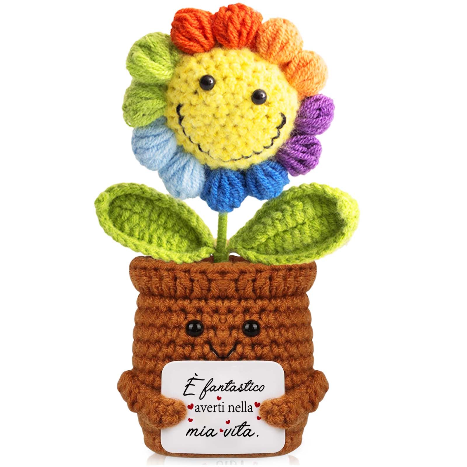 TCRZHHRX Fiore all'Uncinetto Lavorato a Mano con Carta Motivazionale - Regalo Emozionale per Donne,Ragazze | Positiva Regali Idea Compleanno,Laurea,San Valentino,Decorazione Casa