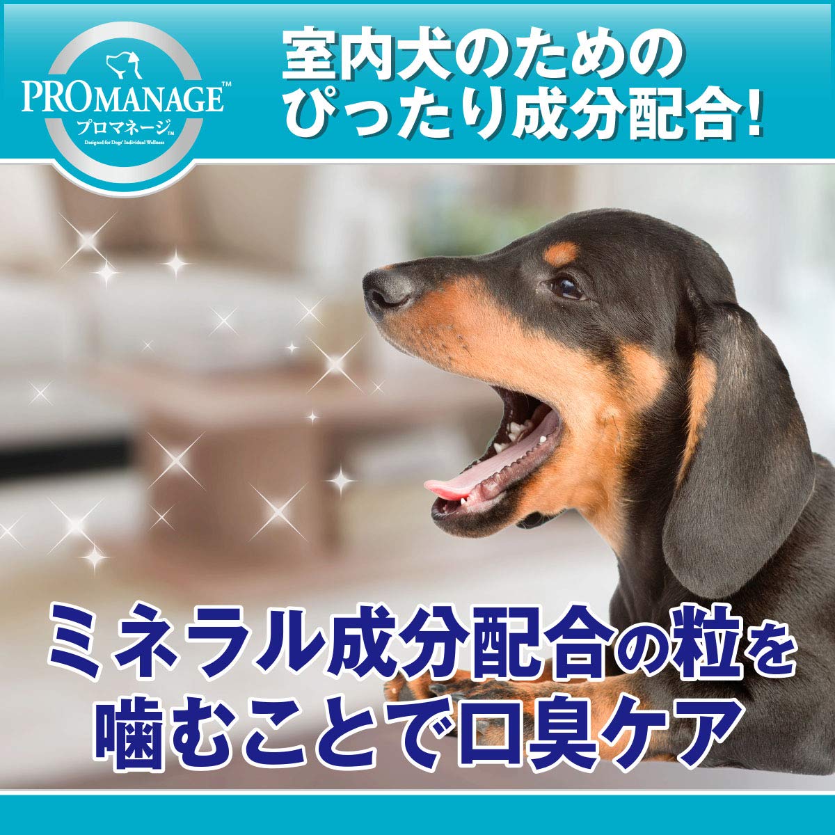 Amazon.co.jp: プロマネージ 成犬用 室内犬用 : ペット用品