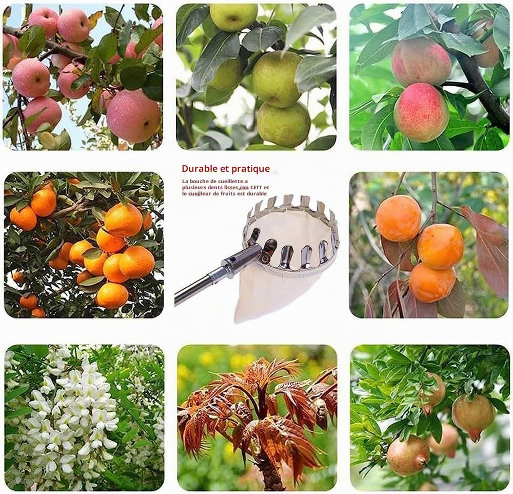 TUIBEIDAMAI Cueille-fruits avec manche télescopique 4,25M, Cueilleur de pommes Diamètre 16 cm, Cueilleur de cerises avec sac en coton, Récolteur de fruits en acier inoxydable pour cerises, Récolteur