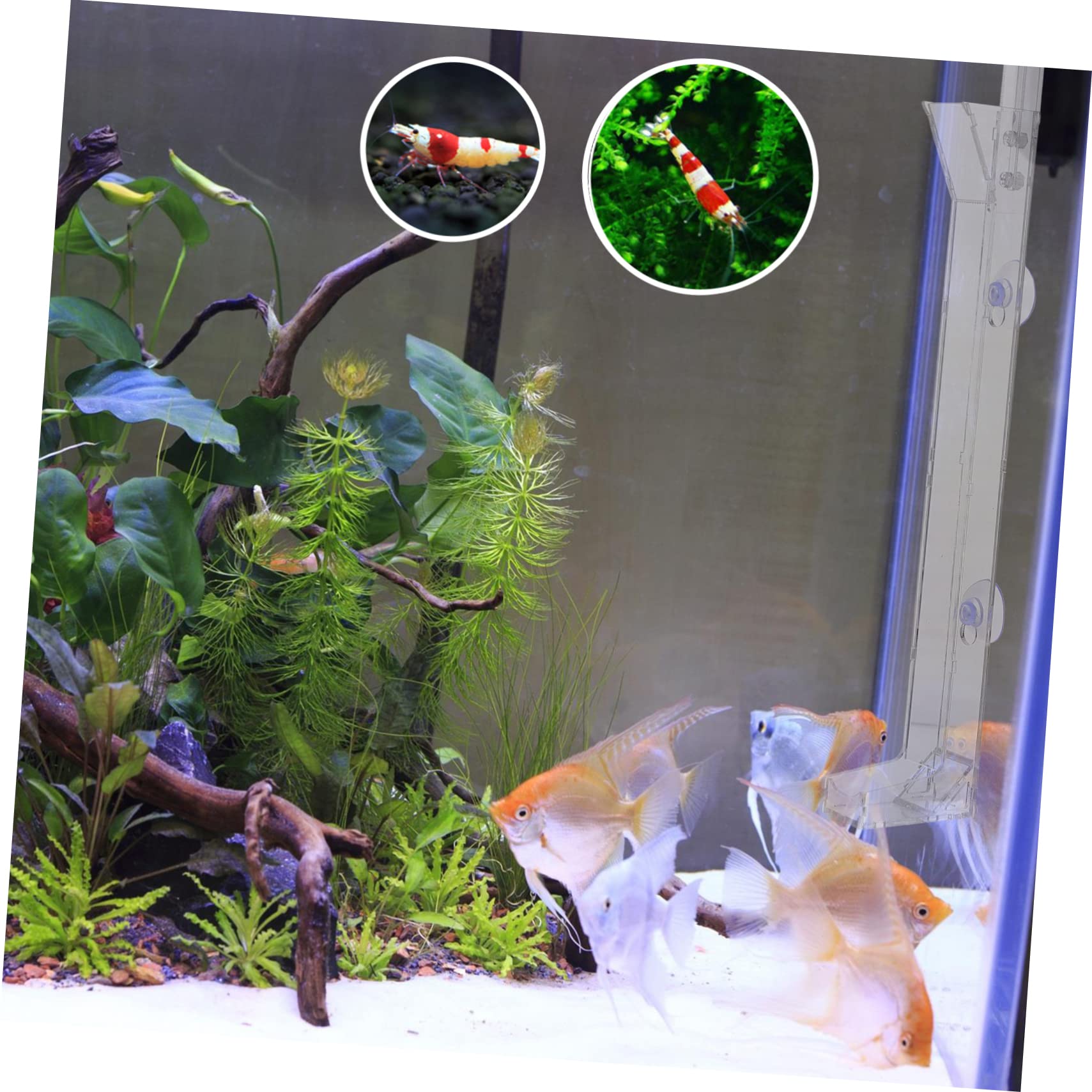 Kisangel 2pièces Tube Transparent pour Alimentation De Crevettes Outil De Nourriture Aquatique avec Échelle pour Éviter Le Surdosage Convient pour Crevettes Sang Et Larves Accessoire