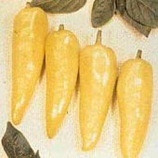 Generic Hungarian Yellow Wax Hot Sweet Peppers Seeds (45 Seeds)