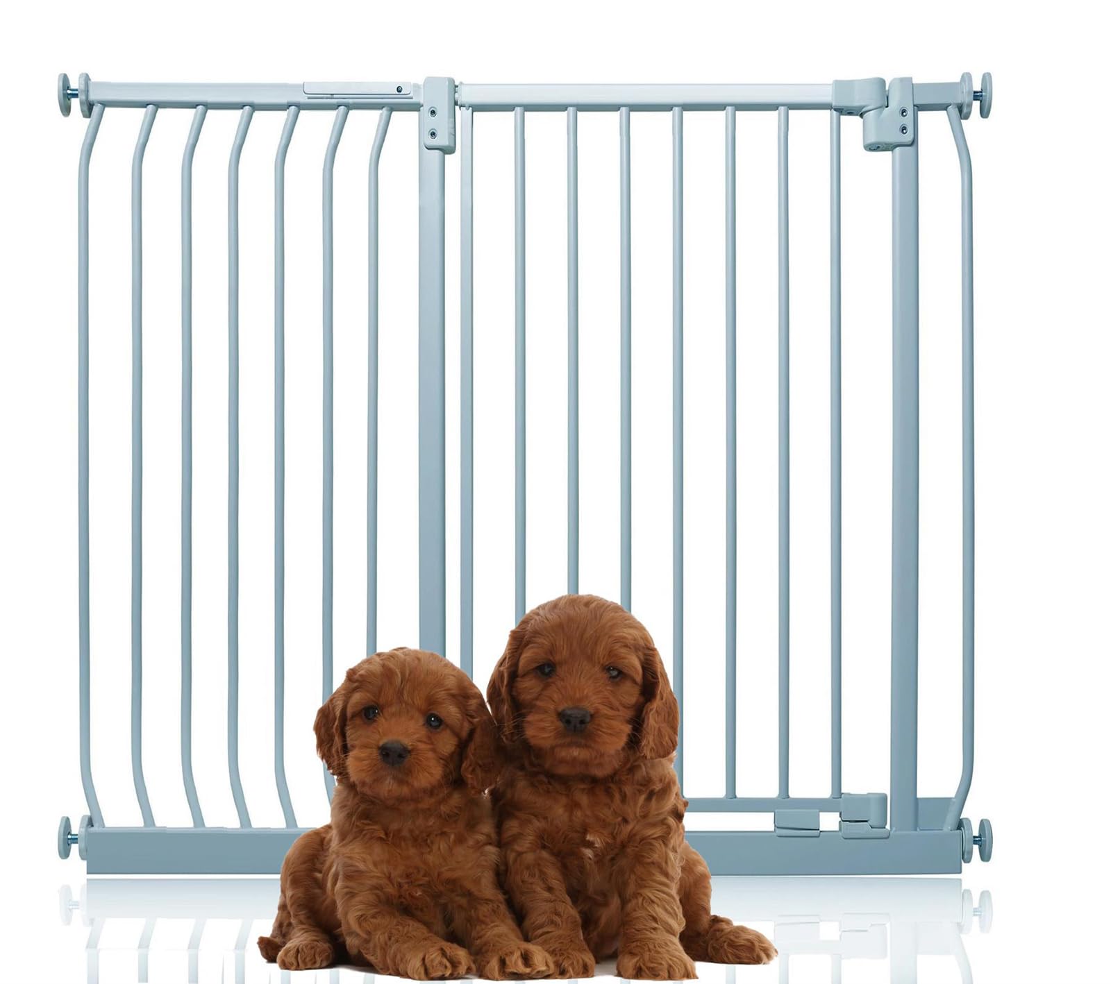 Bettacare Extra Tall Elite Dog Gate, 116cm - 125cm, Matt Grey, Extra Tall 100cm in Height, Pressure Fit Pet Gate for Dog and Puppy, Pet and Dog Barrier, Easy Installation