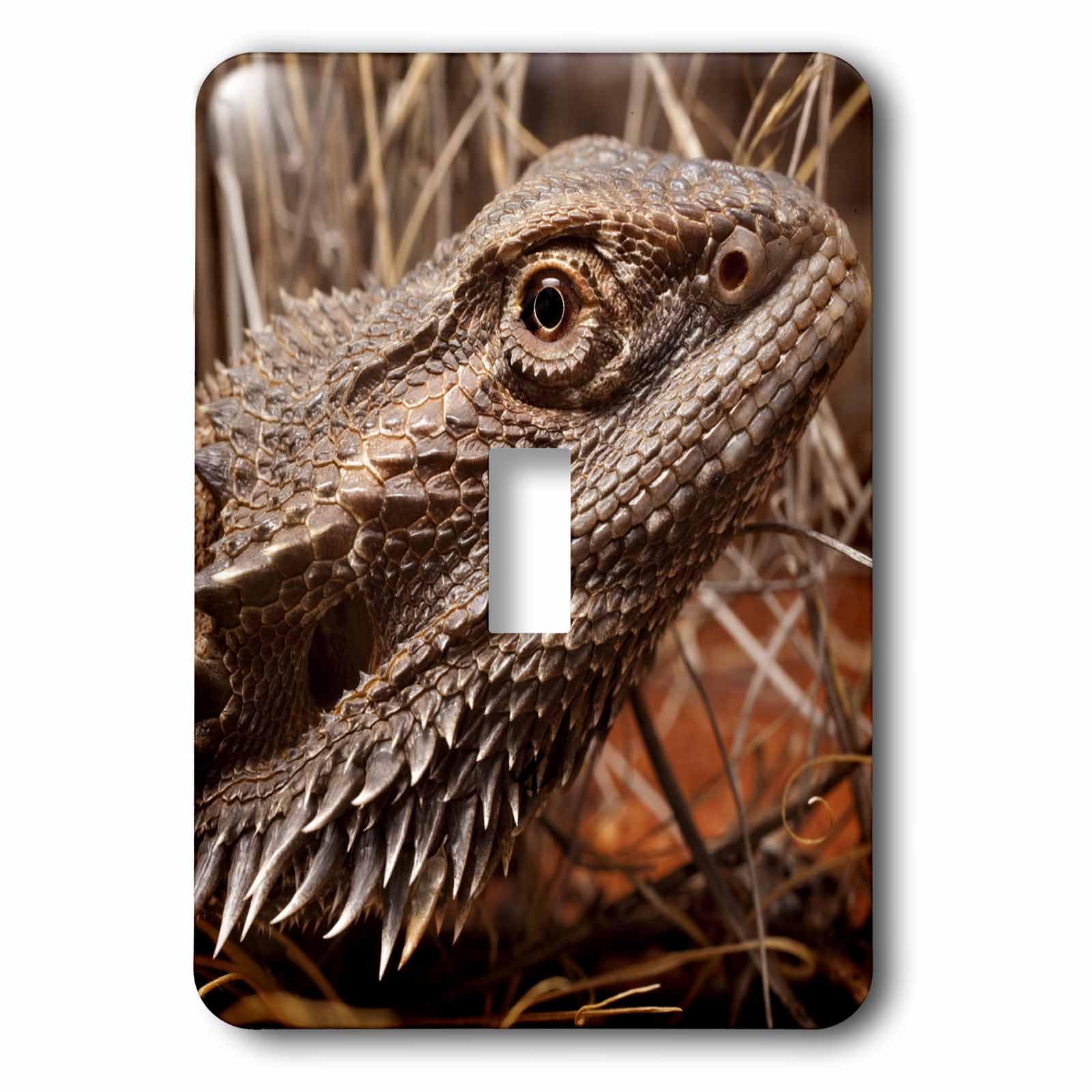 Interrupteur simple lézard pour remplacer vos plaques blanches - 4