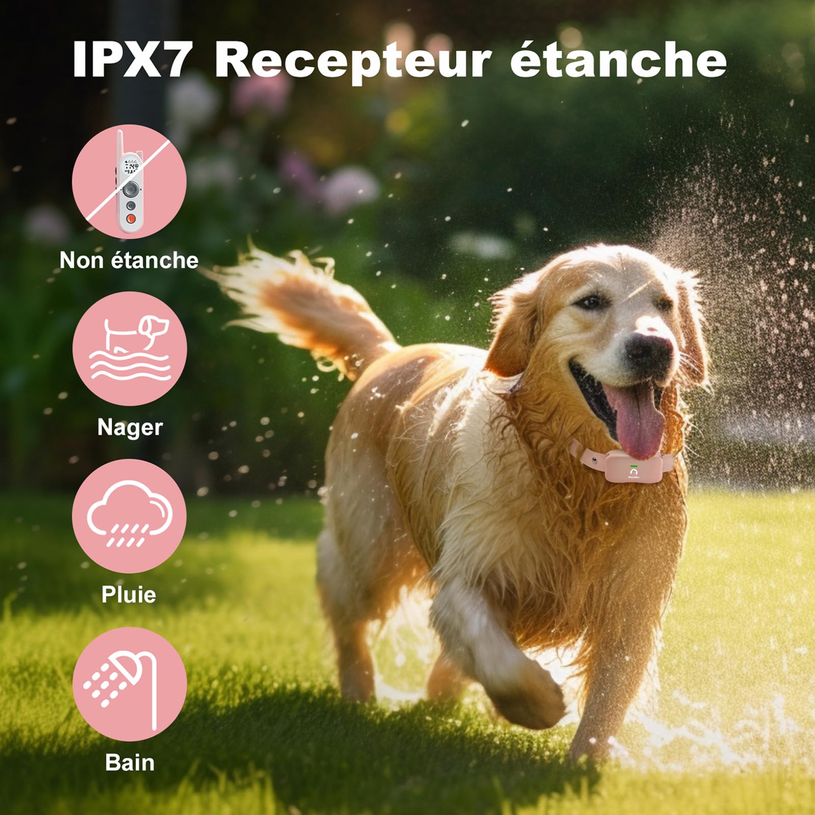 Clôture Électronique pour Chien,Intérieure et Extérieure 8M à 1050M Ajustable Étanche Électrique Système Clôture Collier,Résistant à L’Eau Collier de Dressage pour Chiens de Moyennes et Grandes