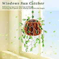 Vista 3 de Kit de plantas con cuentas, atrapasoles, suculentas, regalos para amantes de las plantas, atrapasoles de plantas para colgar en la ventana