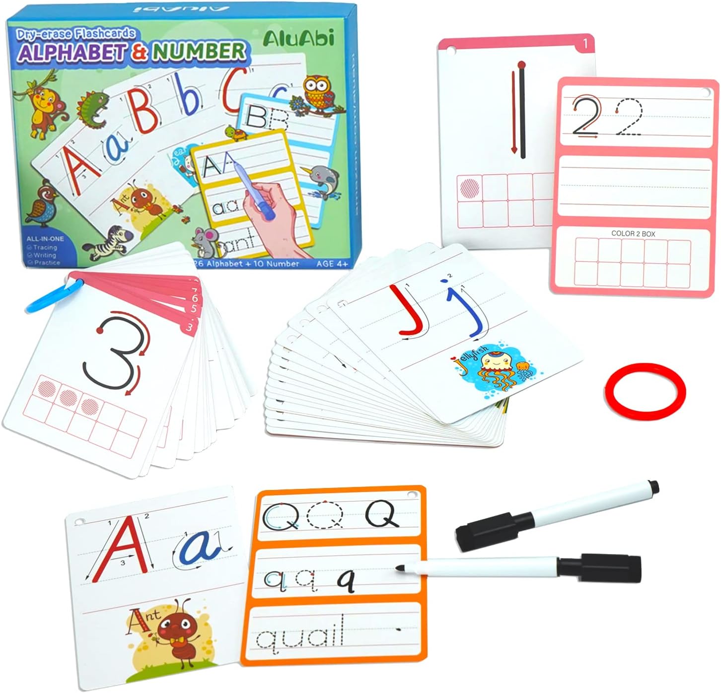 Buy AluAbi Dry Erase Alphabet and Number Flash Cards, Handwriting