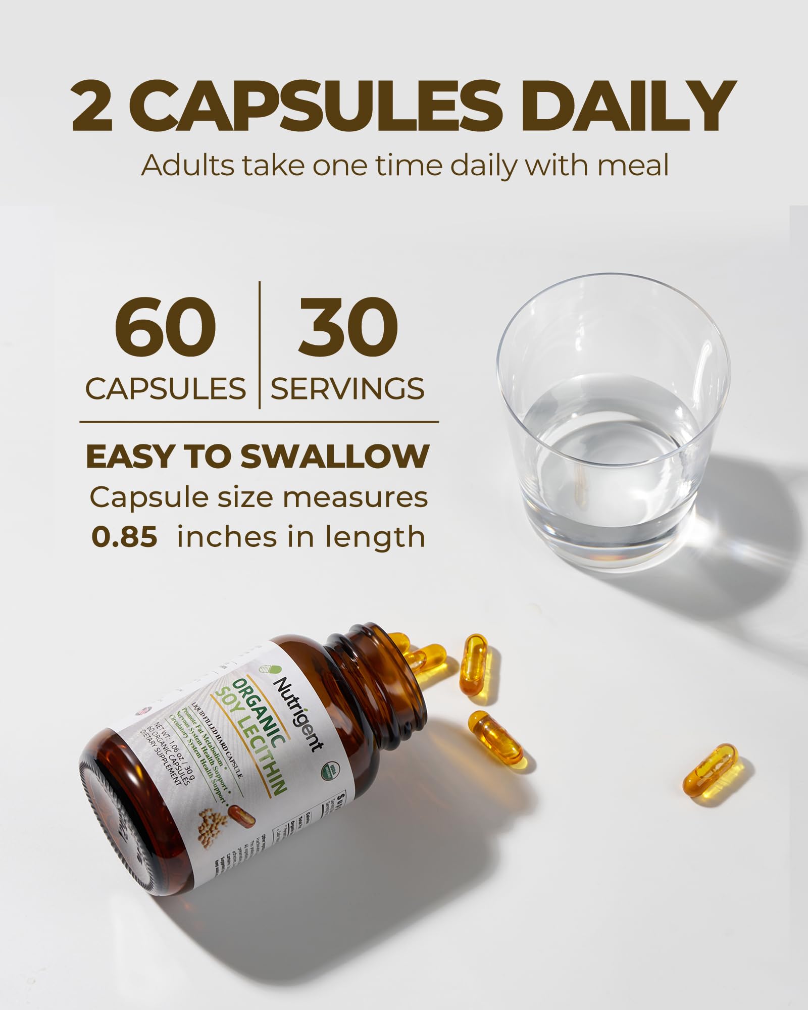 USDA Organic Soy Lecithin Capsules for Brain & Liver Support — Amazon image 6