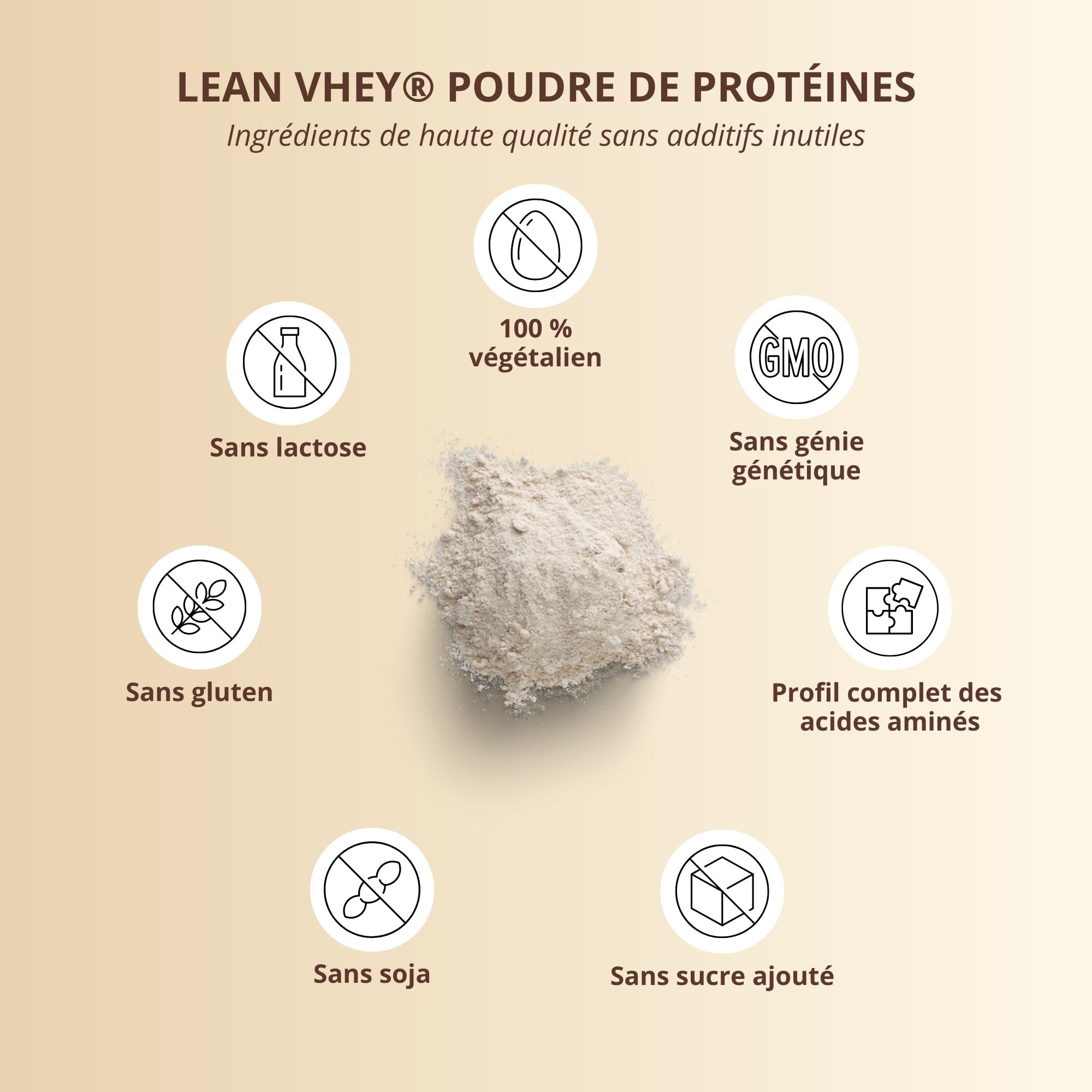 Protéine de pois + riz Vanilla - Poudre de protéine végétalienne sans soja, gluten, lactose, sucre - Vanille 600 g - Pea Rice Protein végan avec protéine de pois d'Allemagne