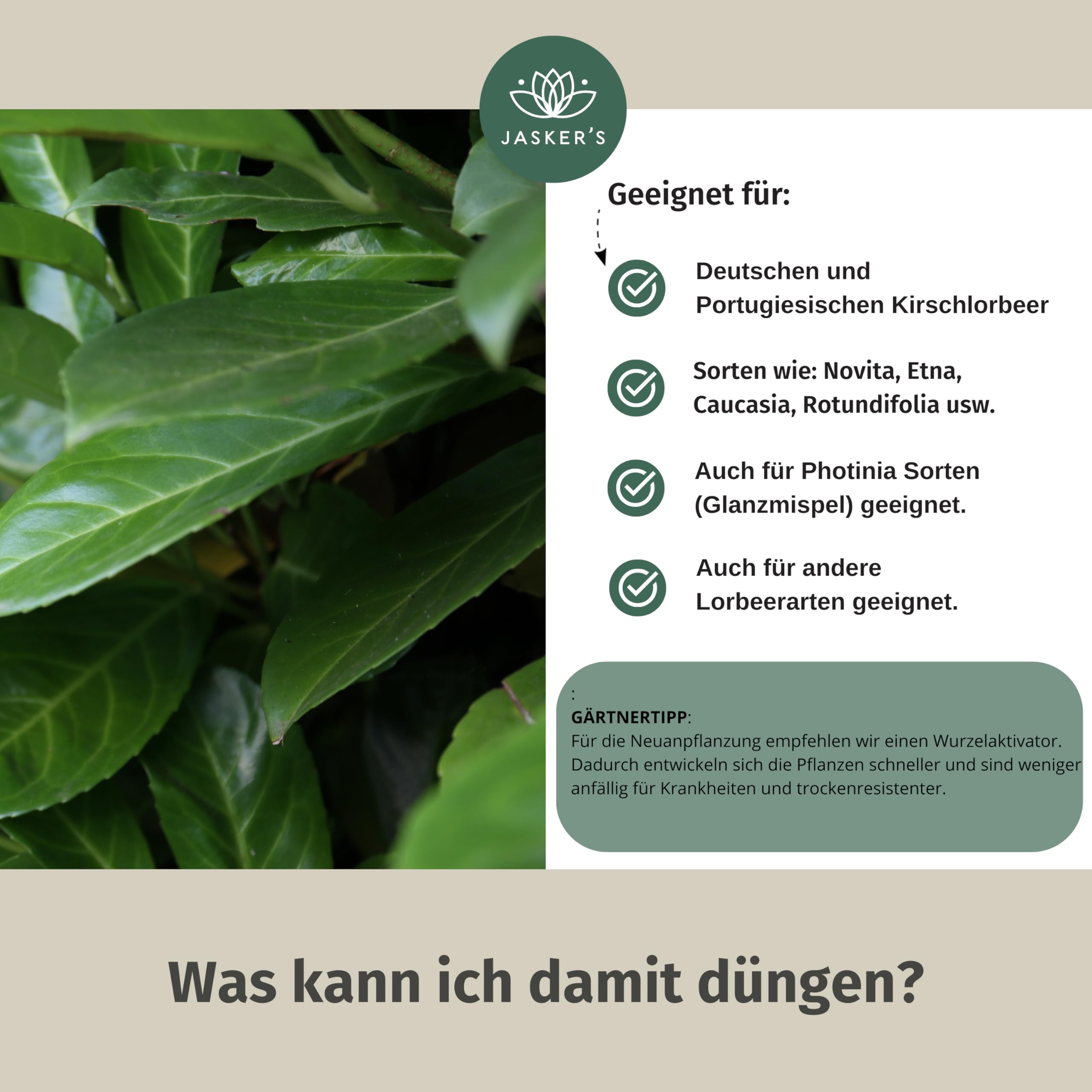 Kirschlorbeer Dünger flüssig 5 L - 100% Turbo Schnelldünger mit Guano - Füssigdünger Kirschlorbeer - Dünger portugiesischer Kirschlorbeer - Kirschlorbeerdünger für Lorbeerhecke