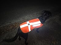 Review Image by Alex Beyer Alex Beyer