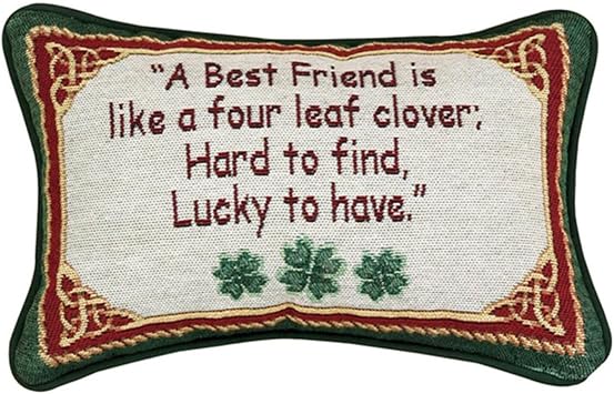 Manual 12.5 x 8.5-Inch Decorative Throw Pillow, Irish Treasures Best Friend