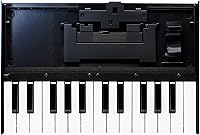Vista 2 de Roland Paquete de unidad de teclado MIDI USB K-25M con cable MIDI, lecciones de piano en línea y paño de pulido de Austin Bazaar