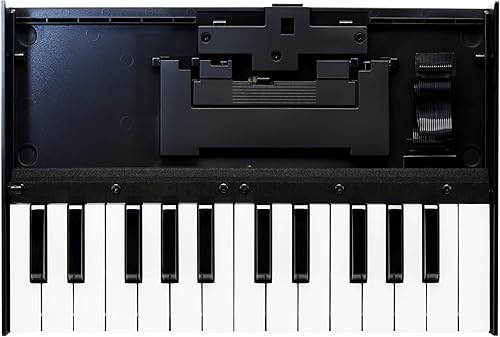 Miniatura 2 de Roland Paquete de unidad de teclado MIDI USB K-25M con cable MIDI, lecciones de piano en línea y paño de pulido de Austin Bazaar