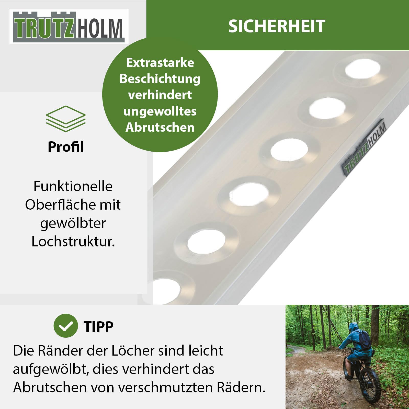 TRUTZHOLM Auffahrschiene Aluminium 194 cm Traglast 200 kg Verladerampe Motorrad Moped E-Bike Fahrrad inkl. Spanngurt Grau