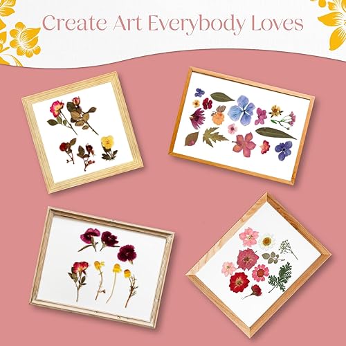 Miniatura 4 de Papel secante XL para prensa de flores, extra grande, 14.7 x 11.2 pulgadas, papel de herbario altamente absorbente y reutilizable, paquete de 15