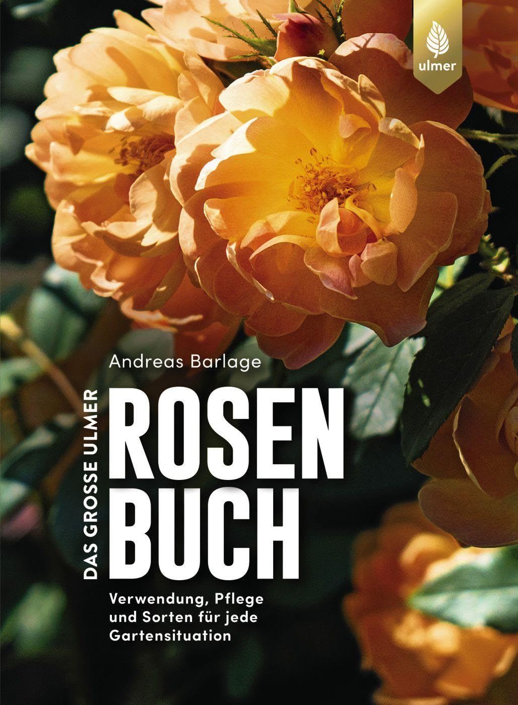 Das große Ulmer Rosenbuch: Verwendung, Pflege und Sorten für jede Gartensituation