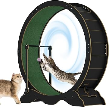 Cat Exercise Wheel, 45-Inch Large Cat Treadmill for Indoor Cats, Cats Running Wheel with Detachable Carpeted Runway & Lock for Pets Health and Entertainment