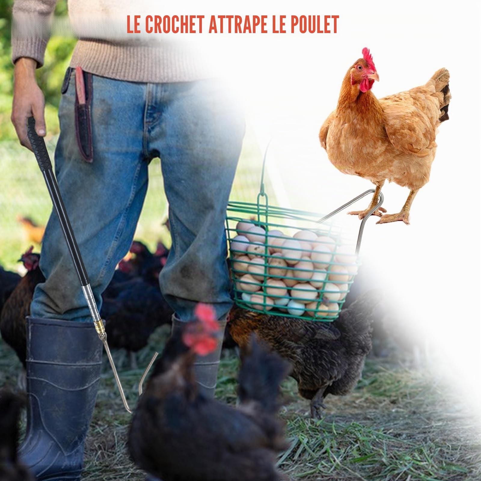 Kit de Filet de Pêche évolutif pour Volaille,Filet pour Attraper les Poulets,Crochet pour Pattes en Acier Inoxydable,Outil de Capture pour Poulets,Canards,Poissons,37 à 151cm de Longueur Extensible