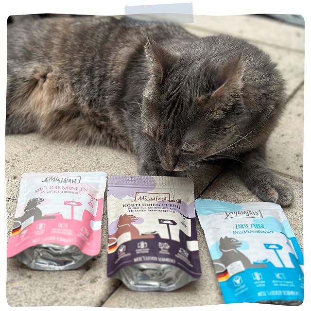 Foto 6 de 6 de MjAMjAM - comida húmeda premium para gatos - paquete mixto III (6 x 400 g)