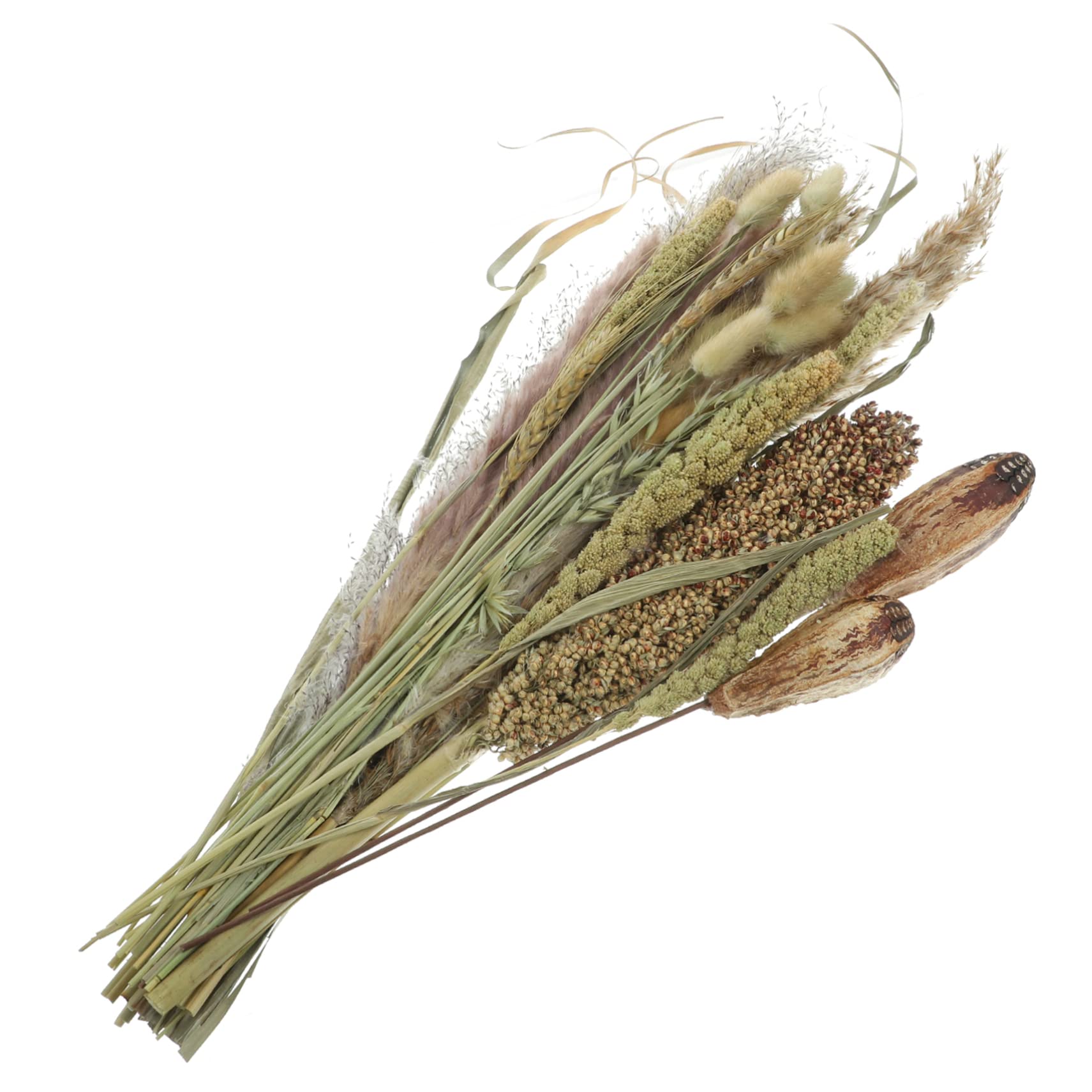 BESPORTBLE 2pezzi Bouquet Naturali Dried Pampas Per Decorazioni Domestiche e Matrimoni Combinazione Secchi Per e Accogliente Per e Speciali