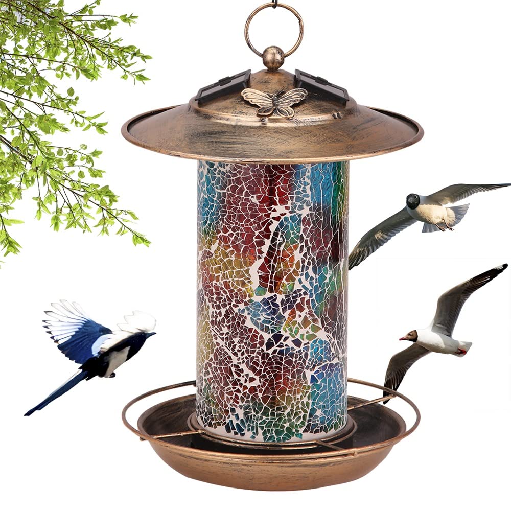 10 Best Unique Finch Bird Feeders for Your Garden Hummingbirds Plus