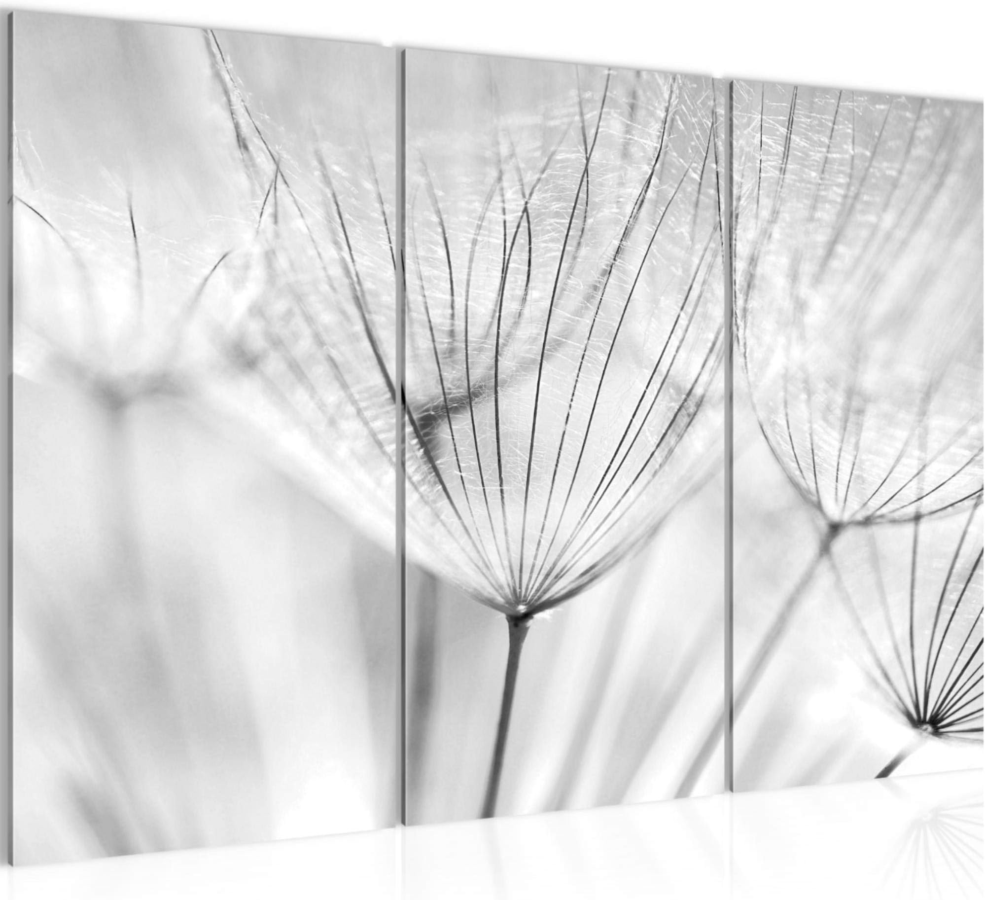 Runa Art Dandelion Pictures XXL Living Room Black-and-White Nature 120 X 80 cm 3 Pieces Wall Art 209831c