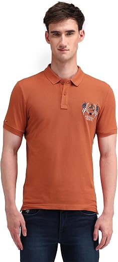US POLO ASS. Men's Rust Solid Collared Neck Half Sleeve Casual Cotton Regular 1605 Polo Shirts (UDTSHC0063_Rust_3XL)
