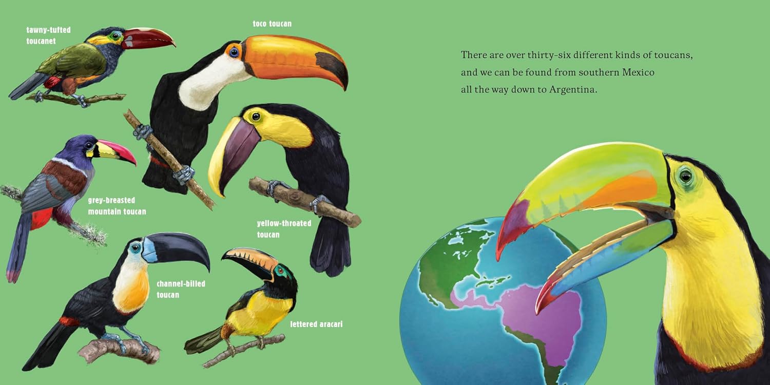 Hello, I'm a Toucan (Meet the Wild Things, Book 5)