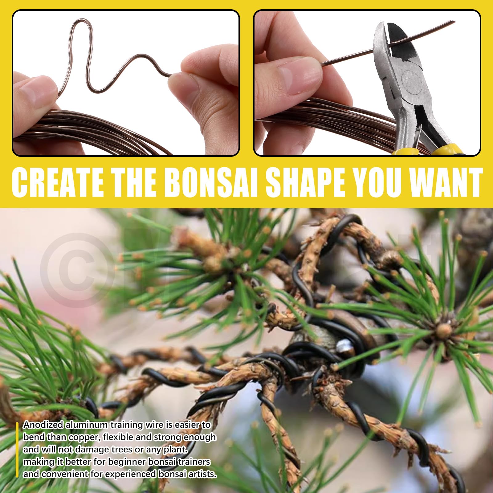 Kit di 6 fili per bonsai da 0,8 mm, 1 mm, 1,5 mm, 2 mm, 3 mm, filo di alluminio anodizzato, filo di alluminio per bonsai con tronchi per la progettazione di rami di bonsai